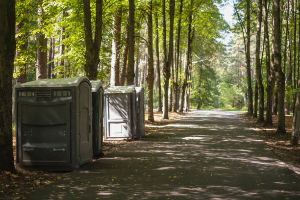 Best Local porta potty services  in Basalt, CO